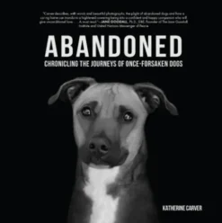 Abandoned