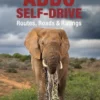 Addo Self-Drive
