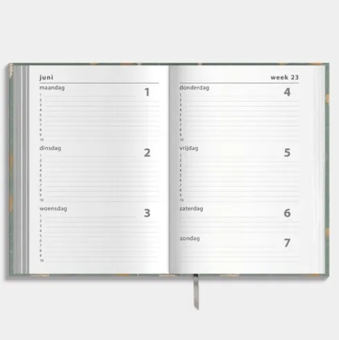 Agenda Basic Gingko 26/27