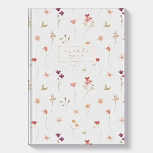 Agenda Mini D2 2027