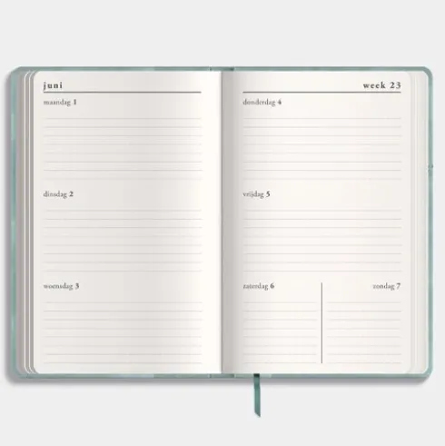 Agenda Pocket Deluxe D1 26/27