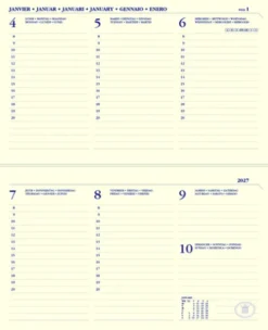 Agendavulling 2025 Ryam Memoplan 7 Compact 7 Dagen/2Pagina's Landscape Creme