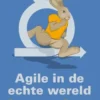 Agile in de echte wereld