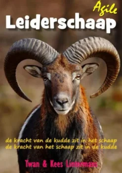 Agile leiderschaap