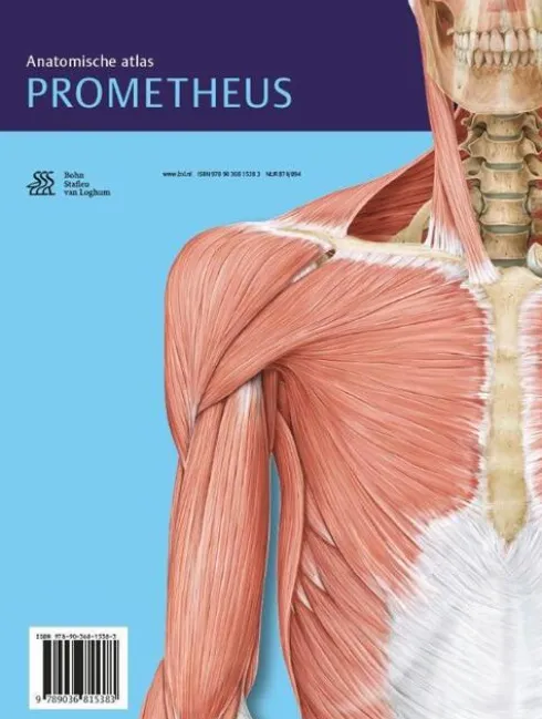 Algemene anatomie en bewegingsapparaat