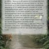 Alles over de Amazone