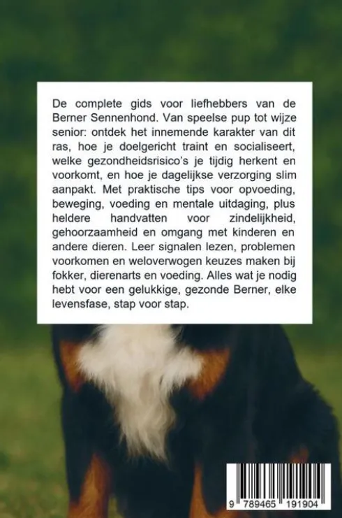 Alles over de Berner Sennenhond