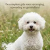Alles over de Bichon Frise