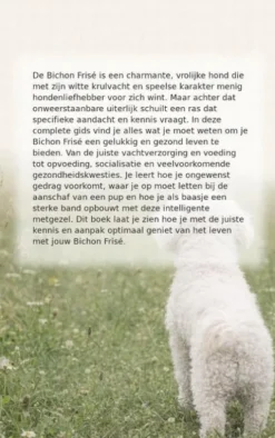 Alles over de Bichon Frise