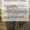 Alles over de Bouvier des Flandres