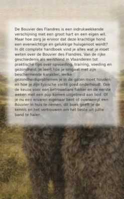 Alles over de Bouvier des Flandres