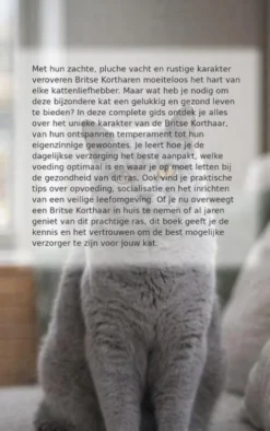 Alles over de Britse Korthaar
