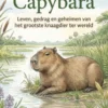 Alles over de Capybara