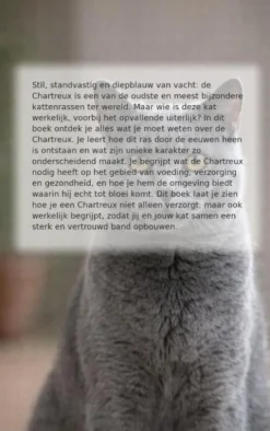 Alles over de Chartreux