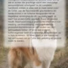 Alles over de Collie