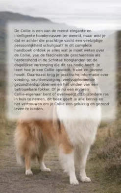Alles over de Collie