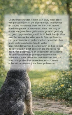 Alles over de Dwergschnauzer