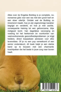 Alles over de Engelse Bulldog