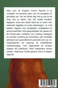 Alles over de Engelse Cocker Spaniel