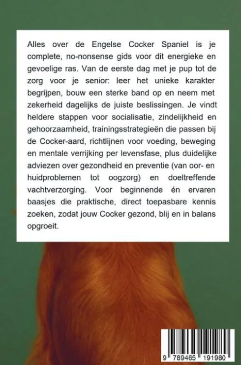 Alles over de Engelse Cocker Spaniel