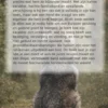 Alles over de Eurasier