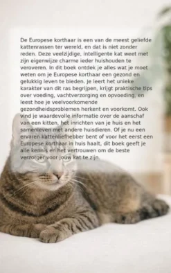 Alles over de europese korthaar