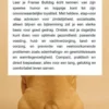 Alles over de Franse Bulldog