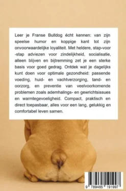 Alles over de Franse Bulldog