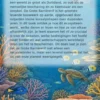 Alles over de Grote Barrièrerif
