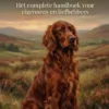 Alles over de Ierse Setter