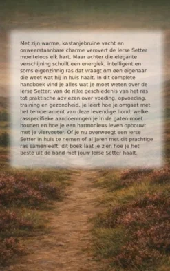 Alles over de Ierse Setter