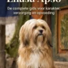 Alles over de Lhasa Apso