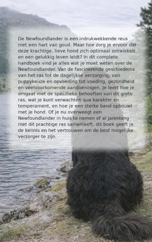 Alles over de Newfoundlander