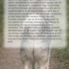 Alles over de Pomsky