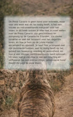 Alles over de Presa Canario