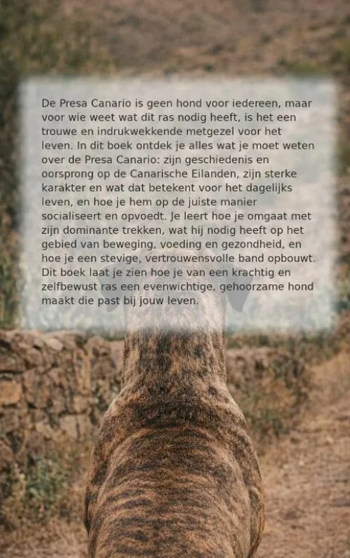 Alles over de Presa Canario