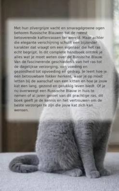 Alles over de Russische Blauw