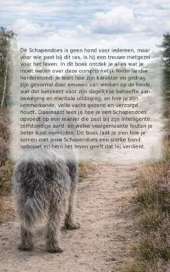 Alles over de Schapendoes