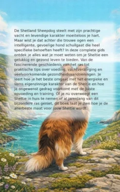 Alles over de Sheltie
