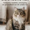 Alles over de siberische kat