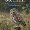 Alles over de Steenuil