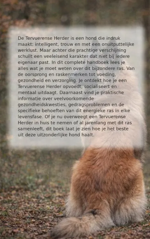 Alles over de Tervuerense Herder