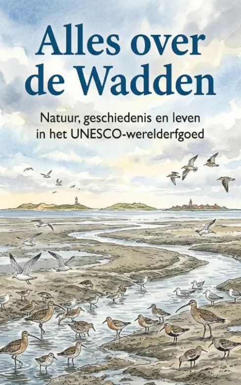Alles over de Wadden