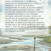 Alles over de Waddenzee