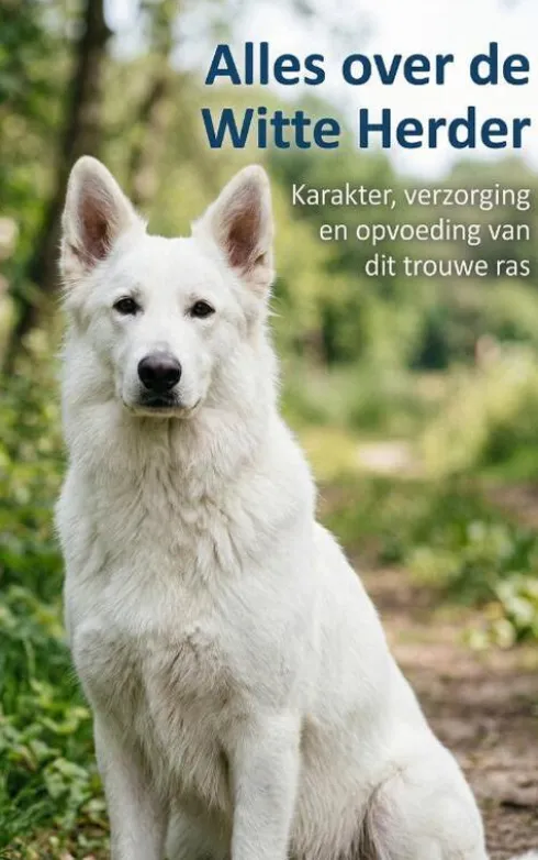 Alles over de Witte Herder