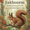 Alles over Eekhoorns