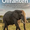 Alles over Olifanten