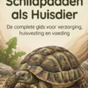 Alles over Schildpadden als Huisdier