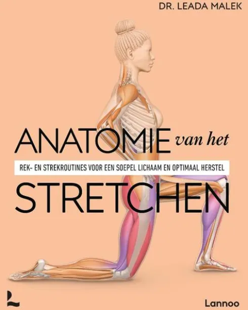 Anatomie van het stretchen