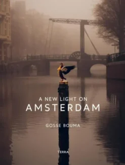A New Light on Amsterdam